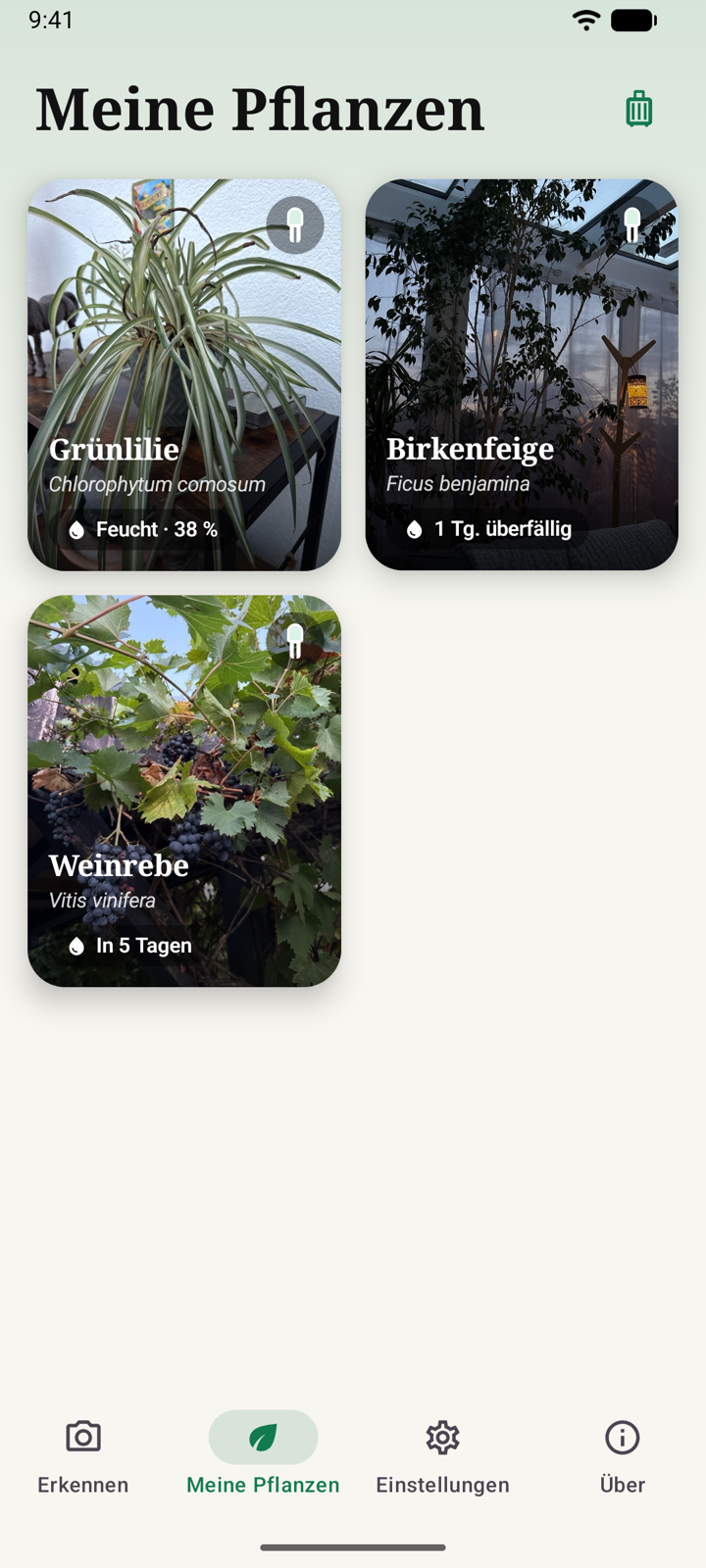 Deine Sammlung mit Gießstatus