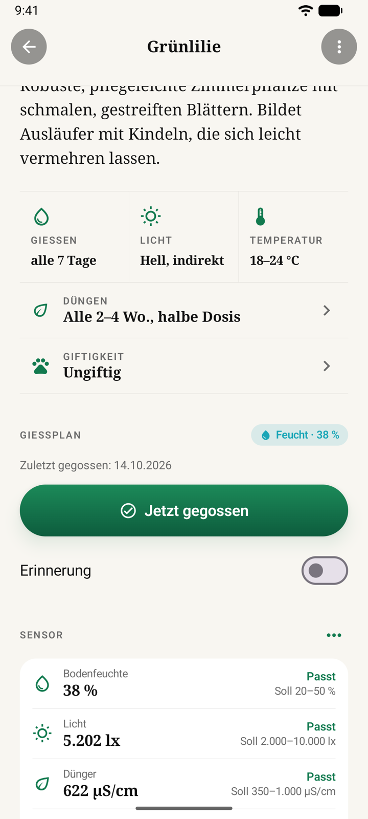 Pflege und Gießplan