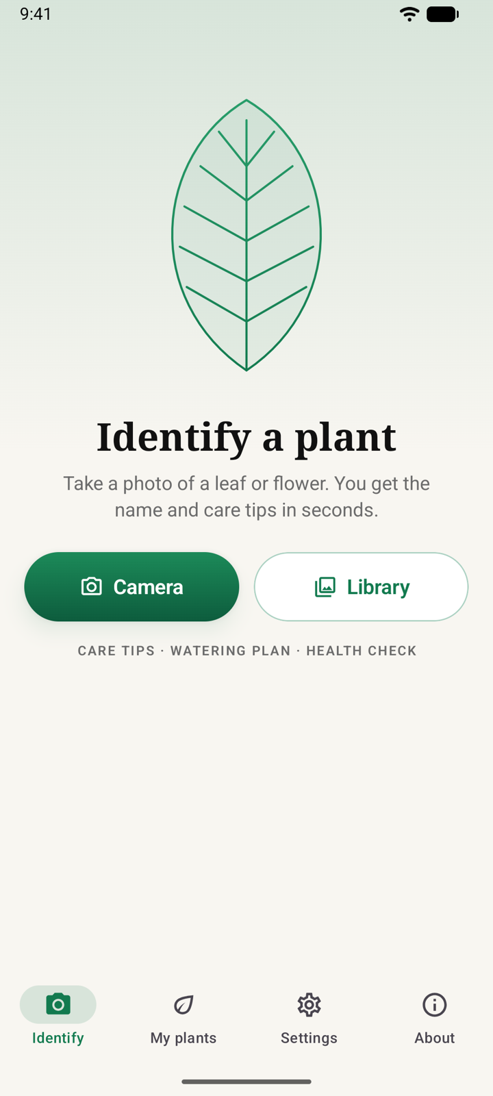 Identify a plant from a photo