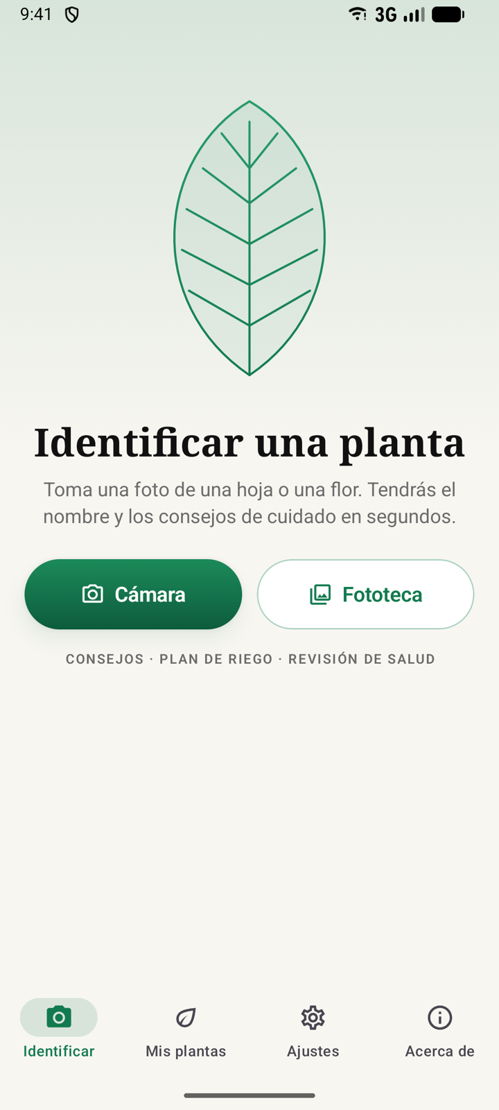 Identificar una planta con una foto