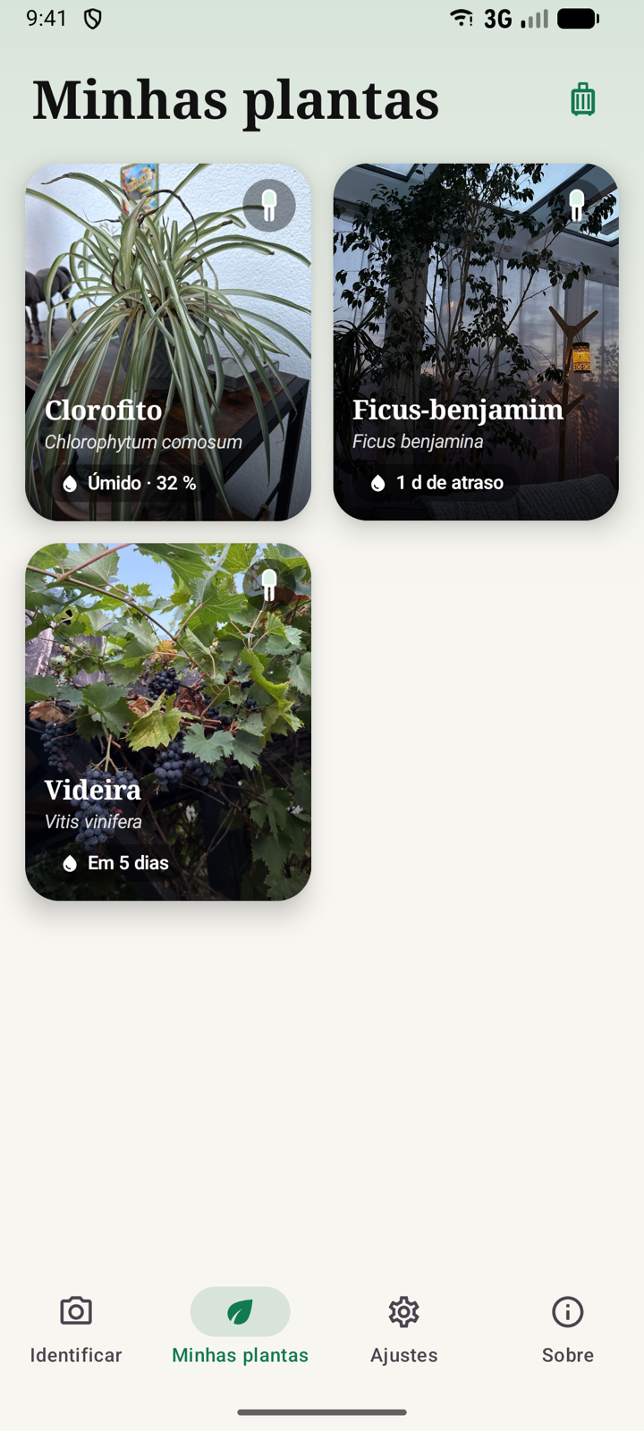 Sua coleção com o status de rega