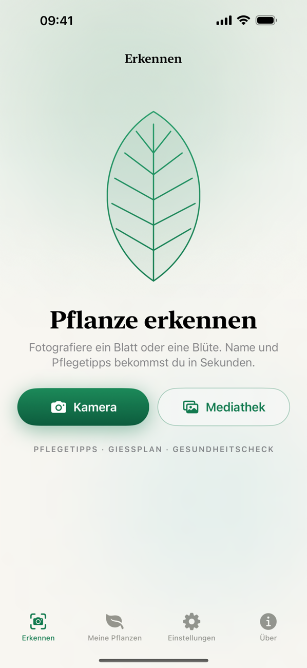 Pflanze per Foto erkennen