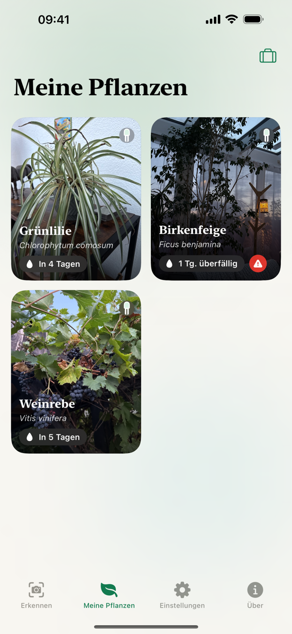 Deine Sammlung mit Gießstatus