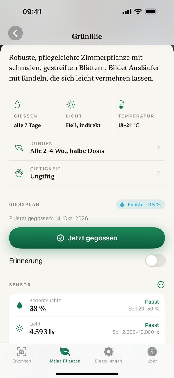 Pflege und Gießplan