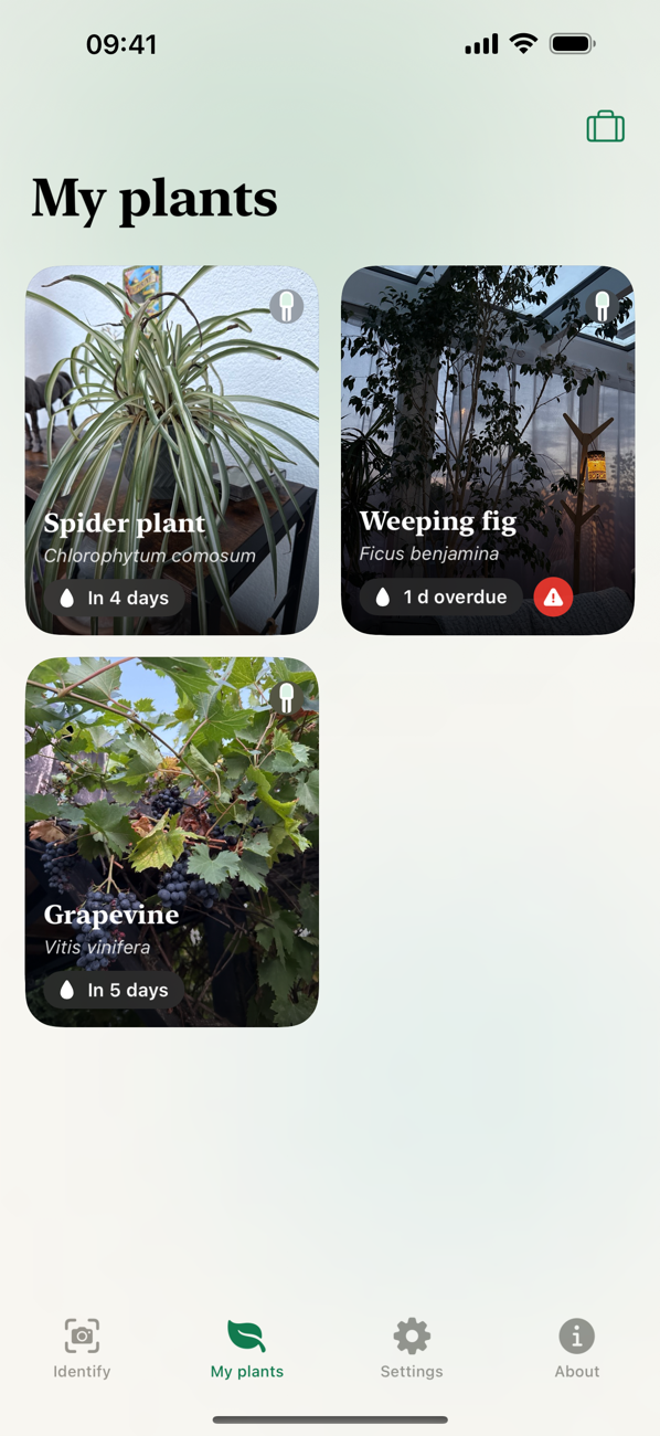 Your collection with watering status