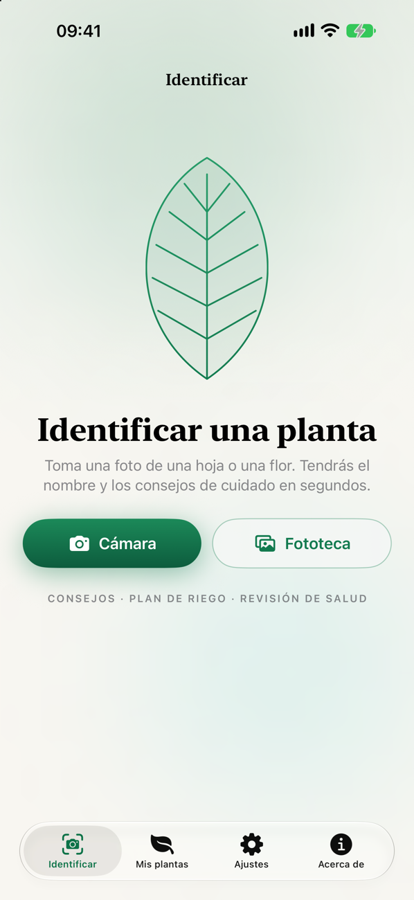 Identificar una planta con una foto