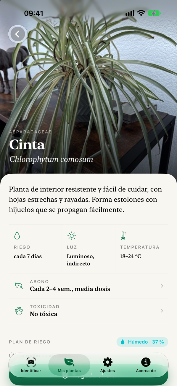 Página de la planta con foto de portada