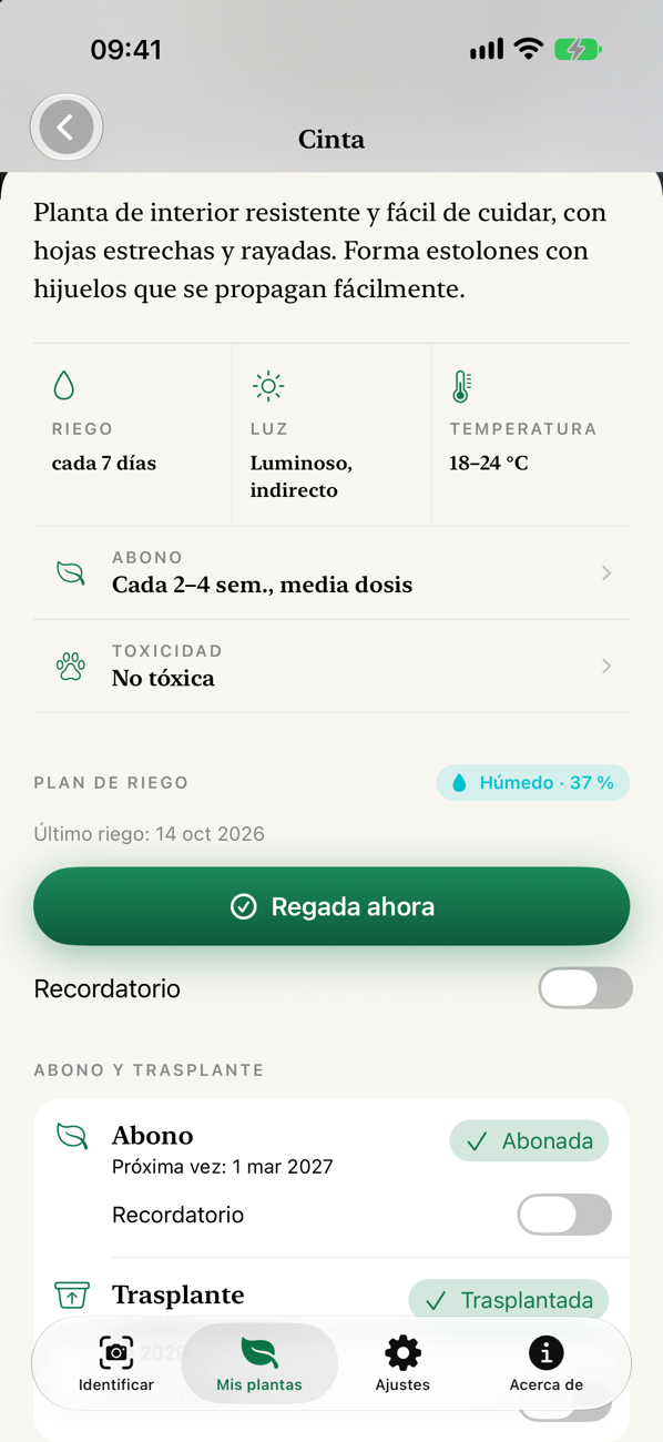 Cuidados y plan de riego