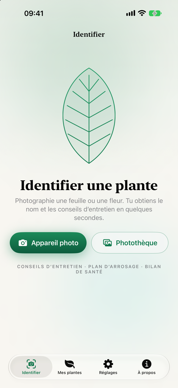 Identifier une plante en photo