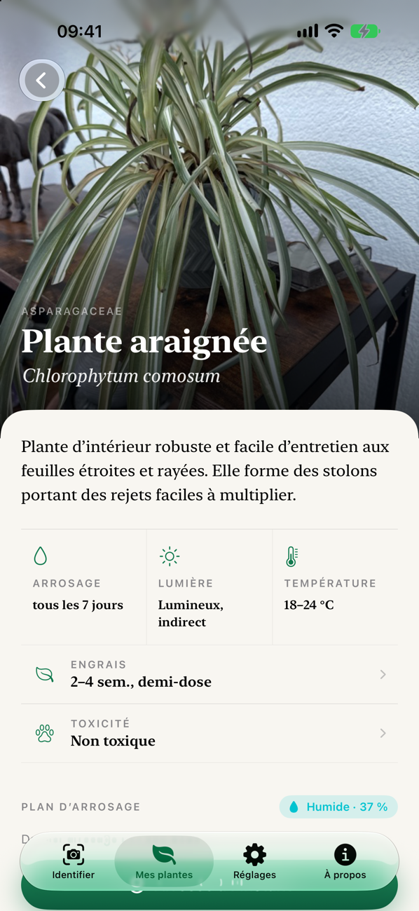 Page de la plante avec photo de couverture
