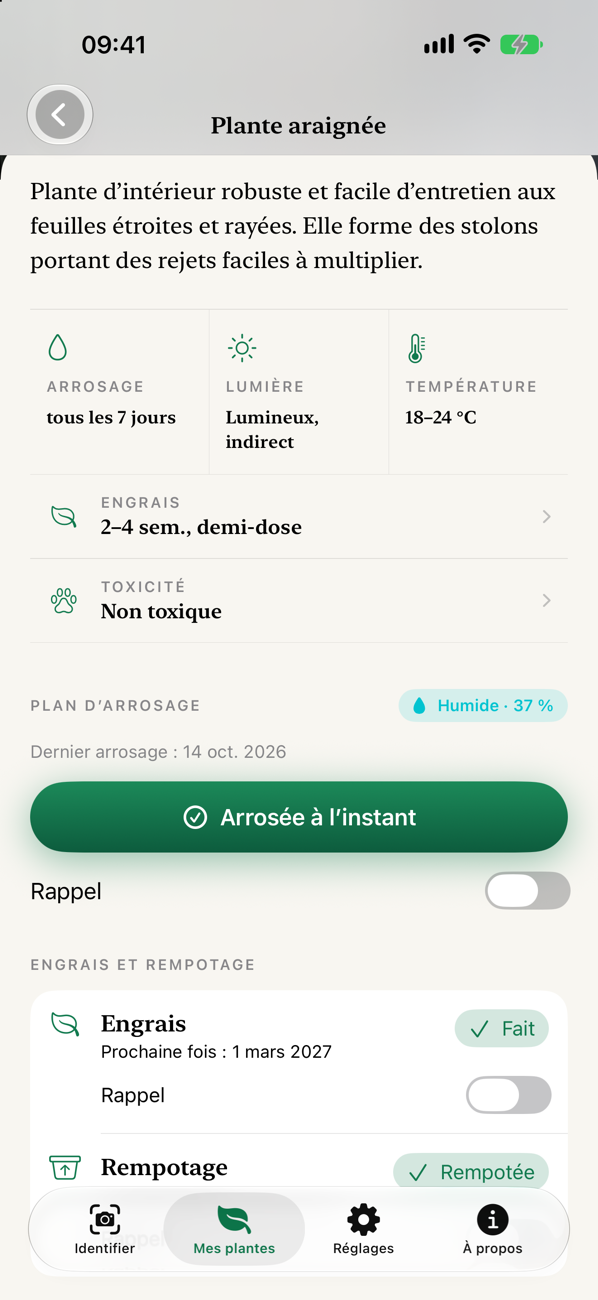 Entretien et plan d’arrosage