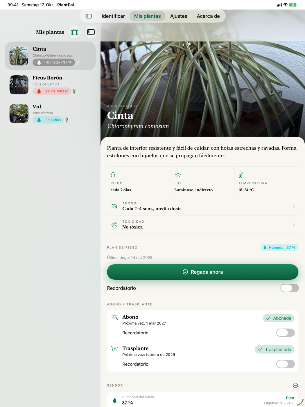 Colección y planta una al lado de la otra