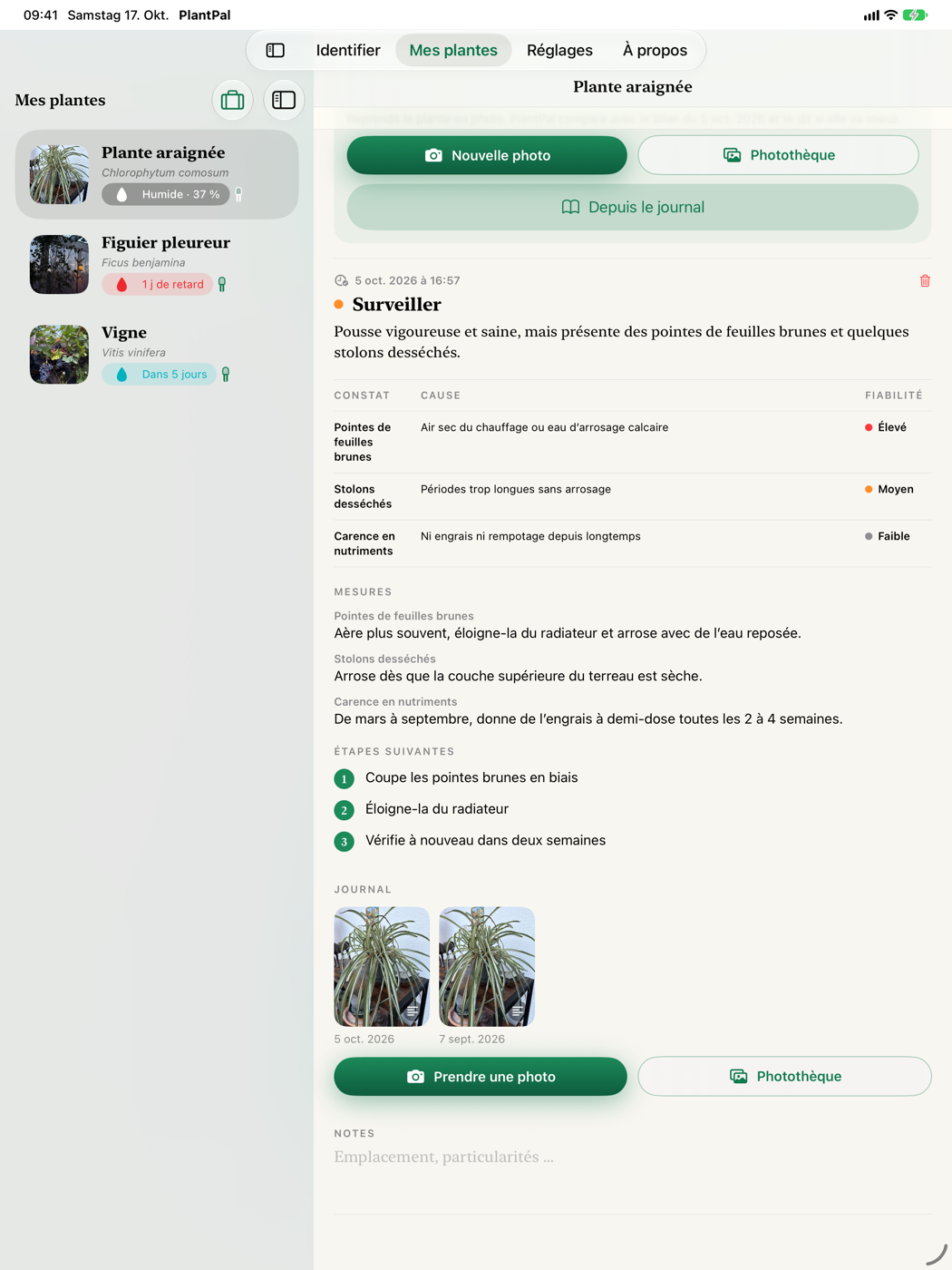 Bilan de santé à côté de la collection