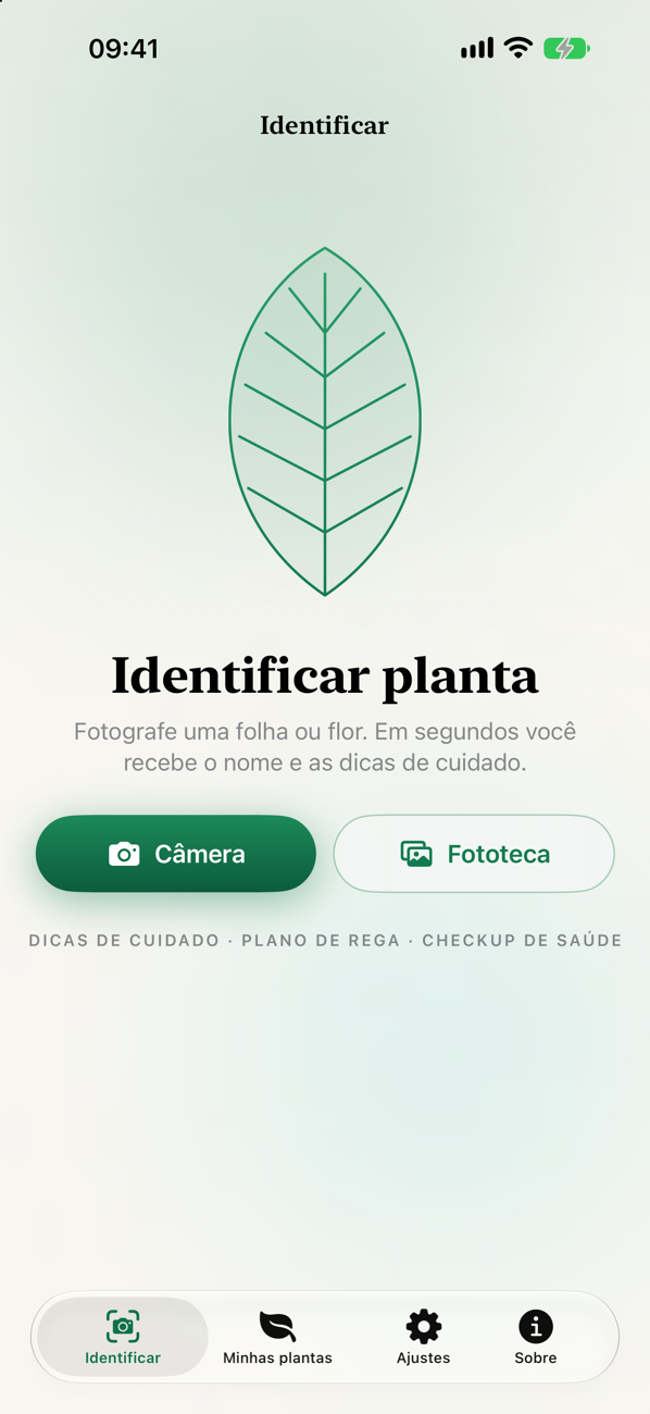 Identificar uma planta por foto