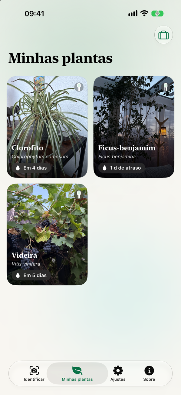 Sua coleção com o status de rega