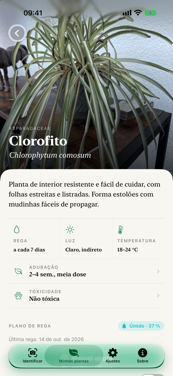 Página da planta com foto de capa