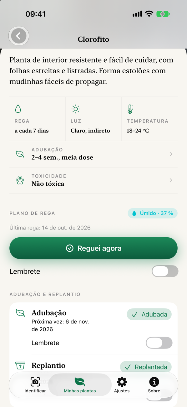 Cuidados e plano de rega